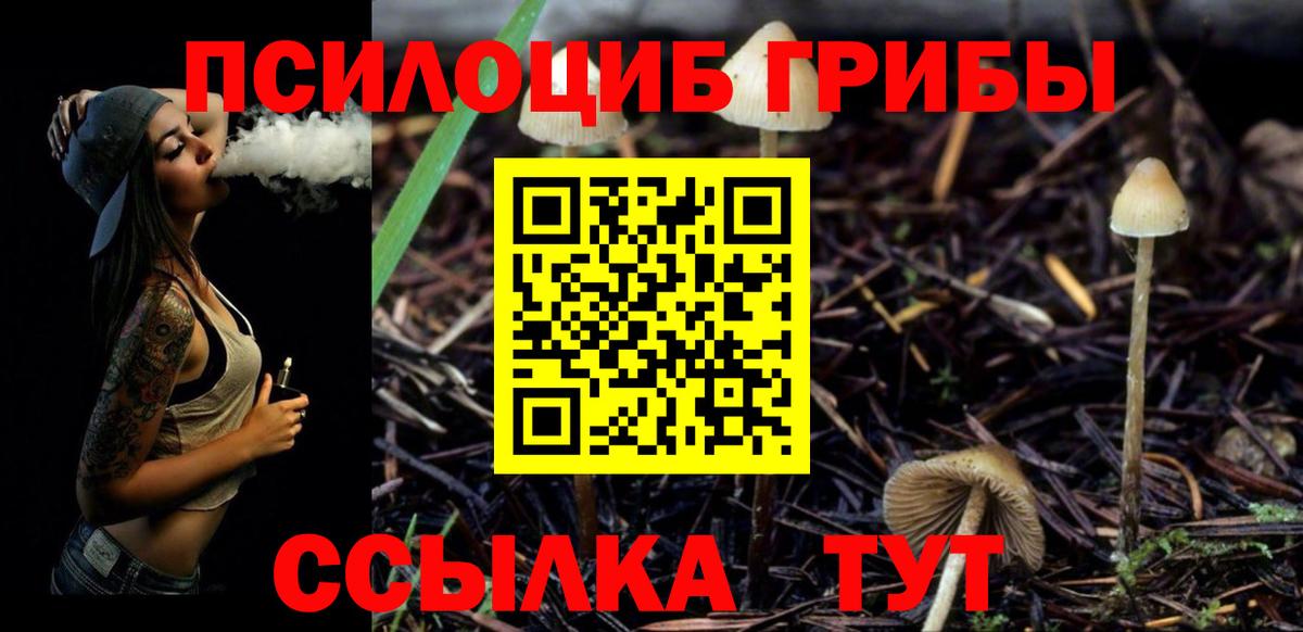 Галлюциногенные грибы мухоморы Минусинск